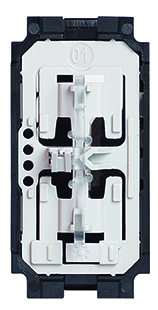 BTC LIVING NOW 1M INTR CAP SCARA ALB K4003