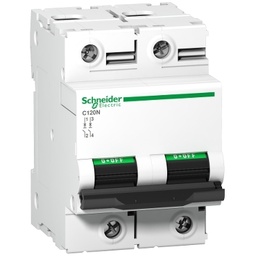 [A9N18361] SCH C120N C 2P 80A 10kA A9N18361