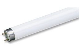 [SW58] TUB FLUORESCENT 58W Philips SNOW WHITE