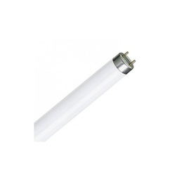 [TL-D 18W/79CARNE] TUB FLUORESCENT. 18W / 79 CARNE