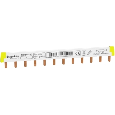 SCH PIEPTENE 1P 100A 12 SIG A9XPH112