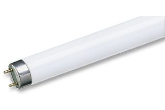 TUB FLUORESCENT 36W Philips SNOW WHITE include T.V. 0.90 RON
