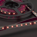 ARX LED BANDA 24V IP65 RGB+3000K 14,4W XSTRIP (5m/rola)